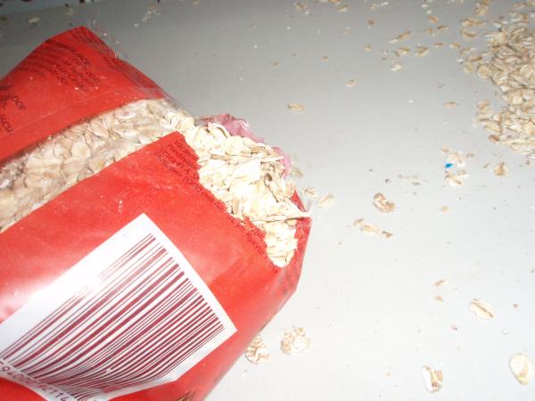 V loňském roce našla SZPI v prodejnách potravin mnohokrát myši nebo stopy jejich přítomnosti (zde Kaufland)