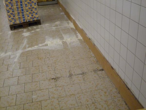 V loňském roce našla SZPI v prodejnách potravin mnohokrát myši nebo stopy jejich přítomnosti (zde Lidl)