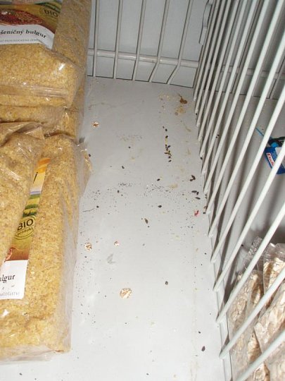 V loňském roce našla SZPI v prodejnách potravin mnohokrát myši nebo stopy jejich přítomnosti (zde Kaufland)
