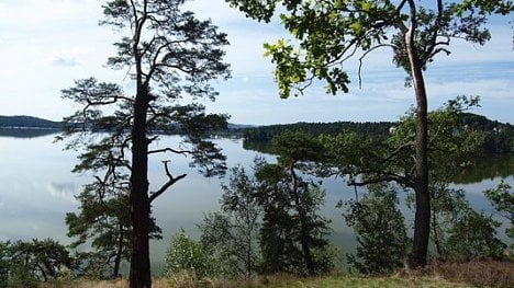 Náhledový obrázek - Voda v Máchově jezeře je kvalitnější a průhlednější