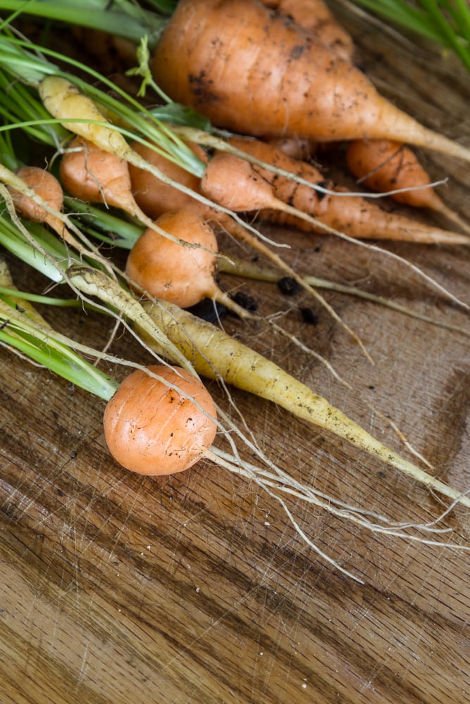 15 podivných mrkví