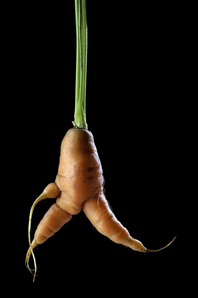 15 podivných mrkví