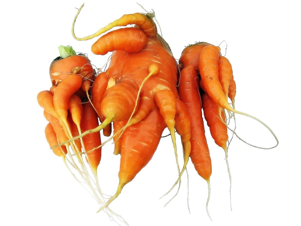 15 podivných mrkví