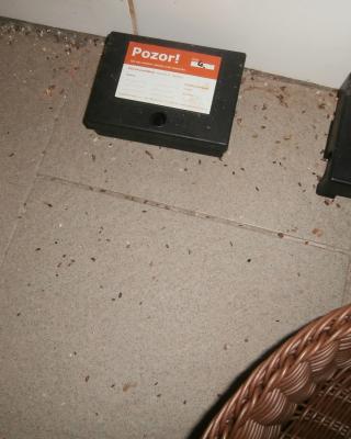Restaurace Žalář, Jílové u Prahy - Výskyt myšího trusu. Nečistoty na regálech či zařízeních. Uzavřena část provozovny - kuchyň, bar.