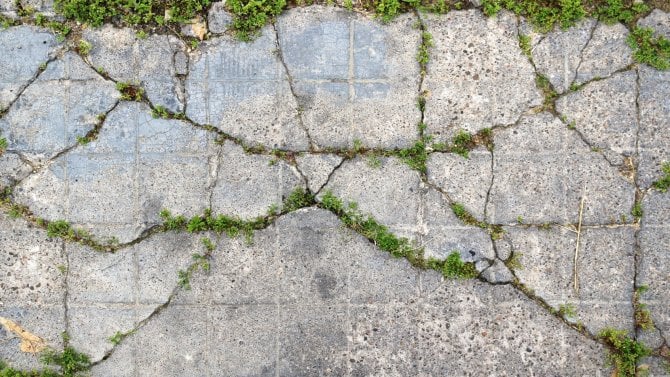 „Živý“ beton budoucnosti. Vědci zkoumají možnosti, jak by se pomocí lišejníku mohl sám opravit a být odolnější, inspiraci našli u Římanů