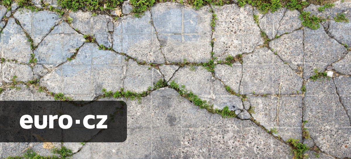 „Živý“ beton budoucnosti. Vědci zkoumají možnosti, jak by se pomocí lišejníku mohl sám opravit a být odolnější, inspiraci našli u Římanů