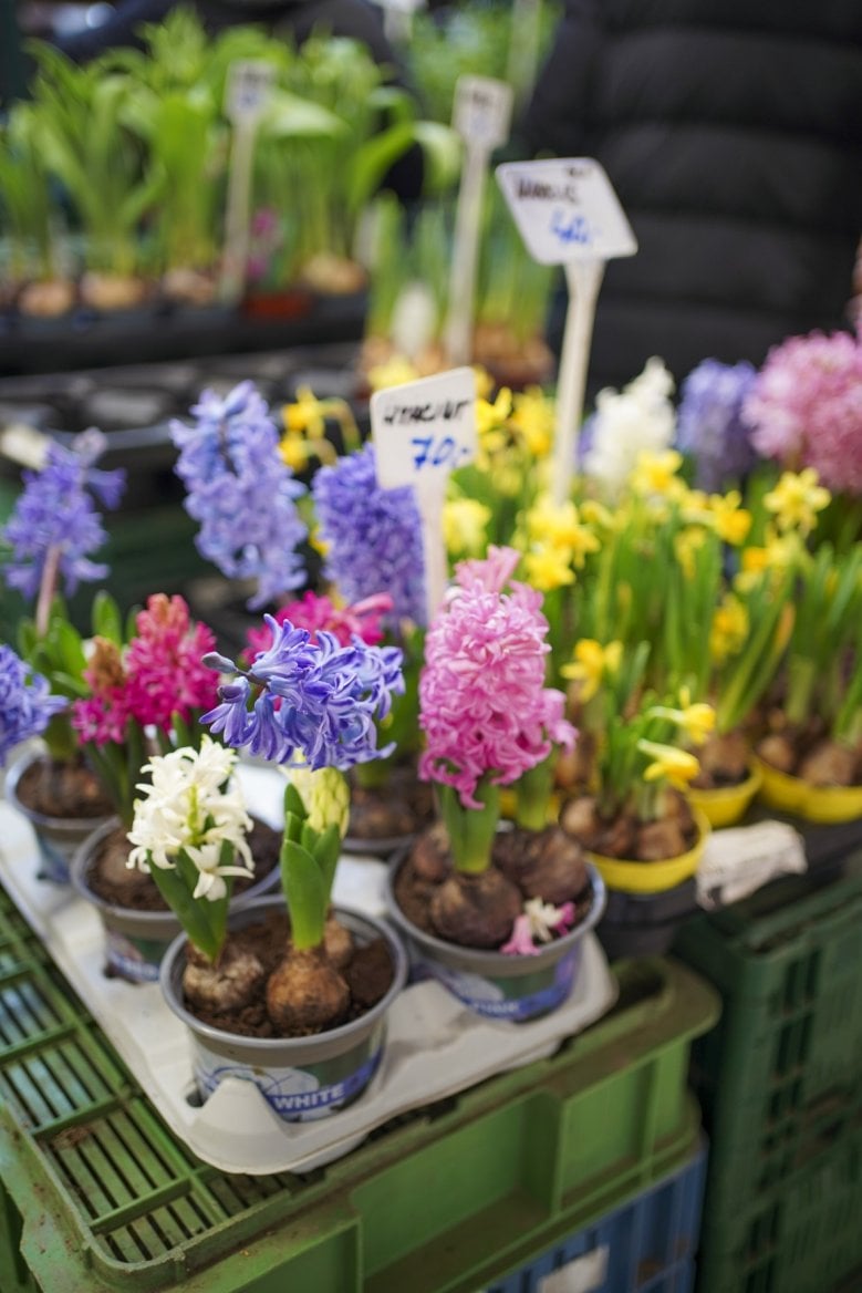 Hala 22 v Holešovické tržnici