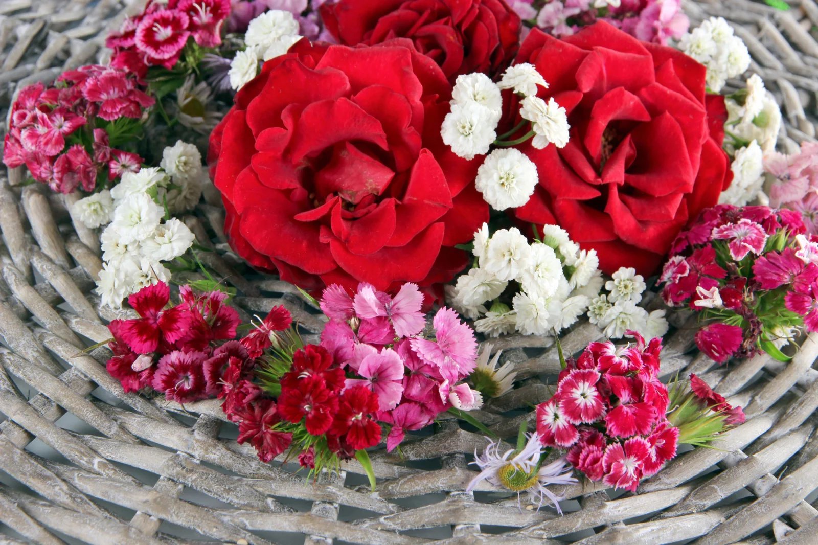 Květin je nepřeberné množství.