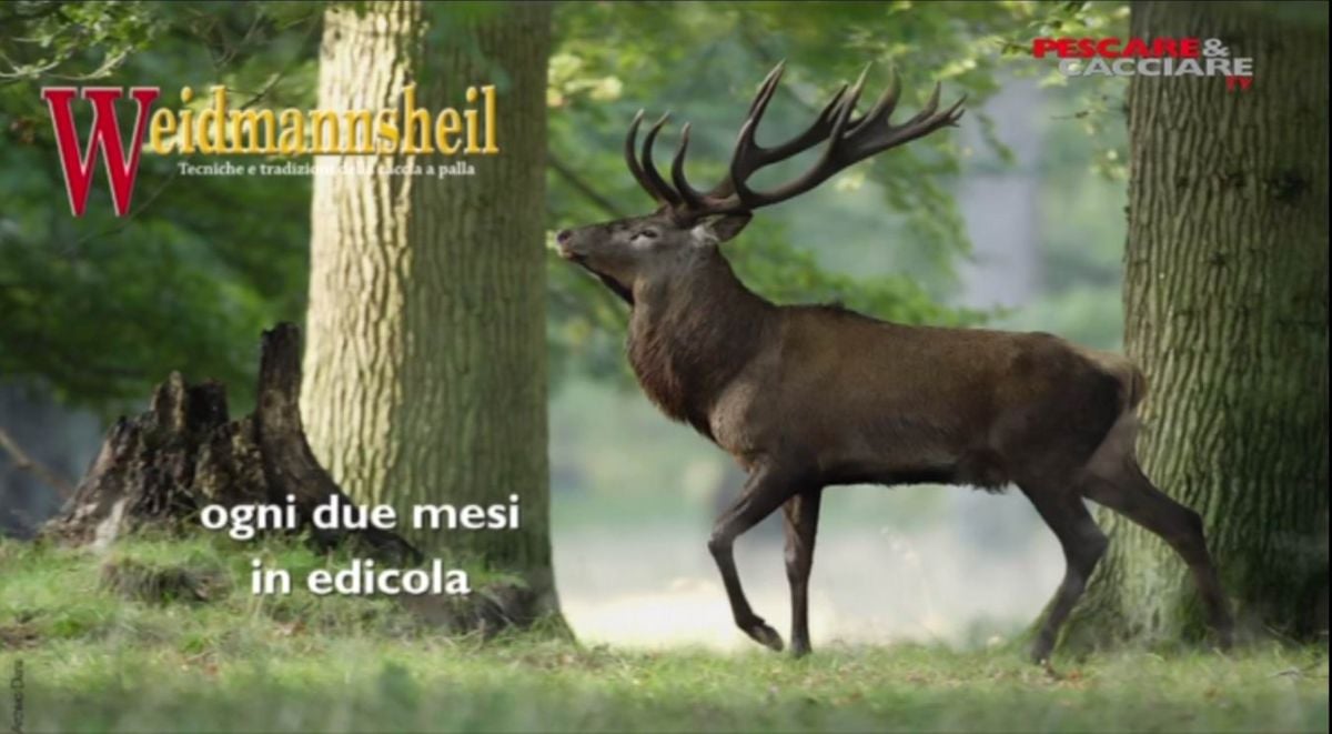 Pescare & Cacciare TV