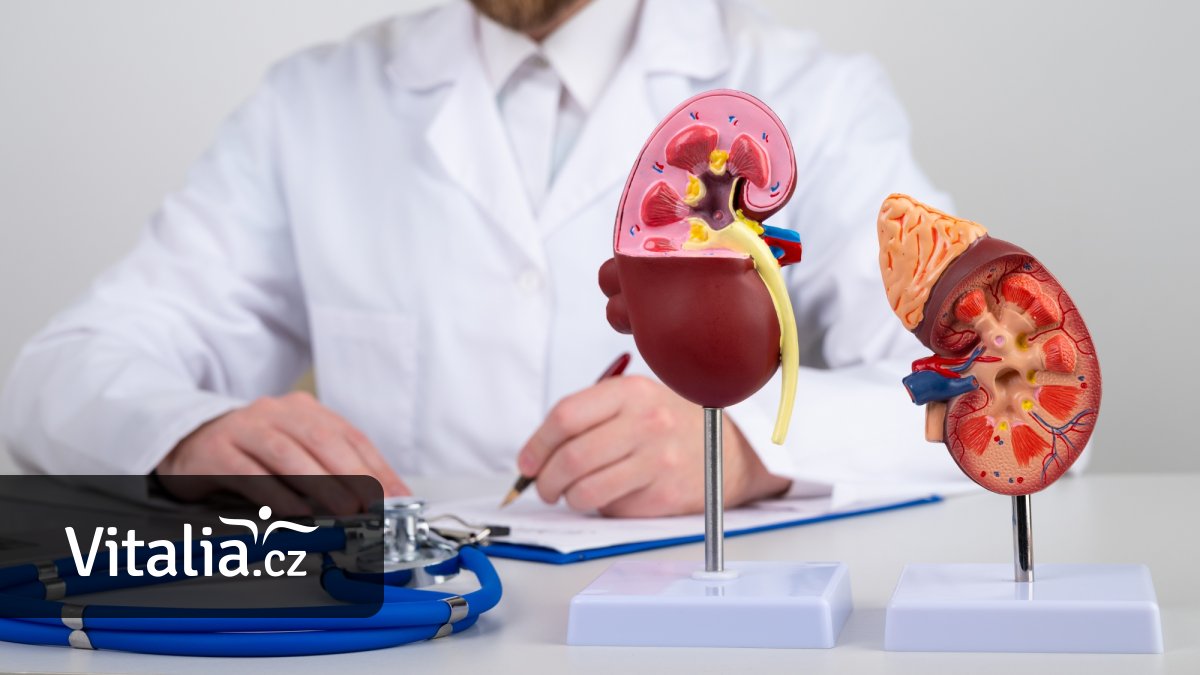 Tohle uděláte pro své ledviny, když půjdete na novou prevenci k praktikovi