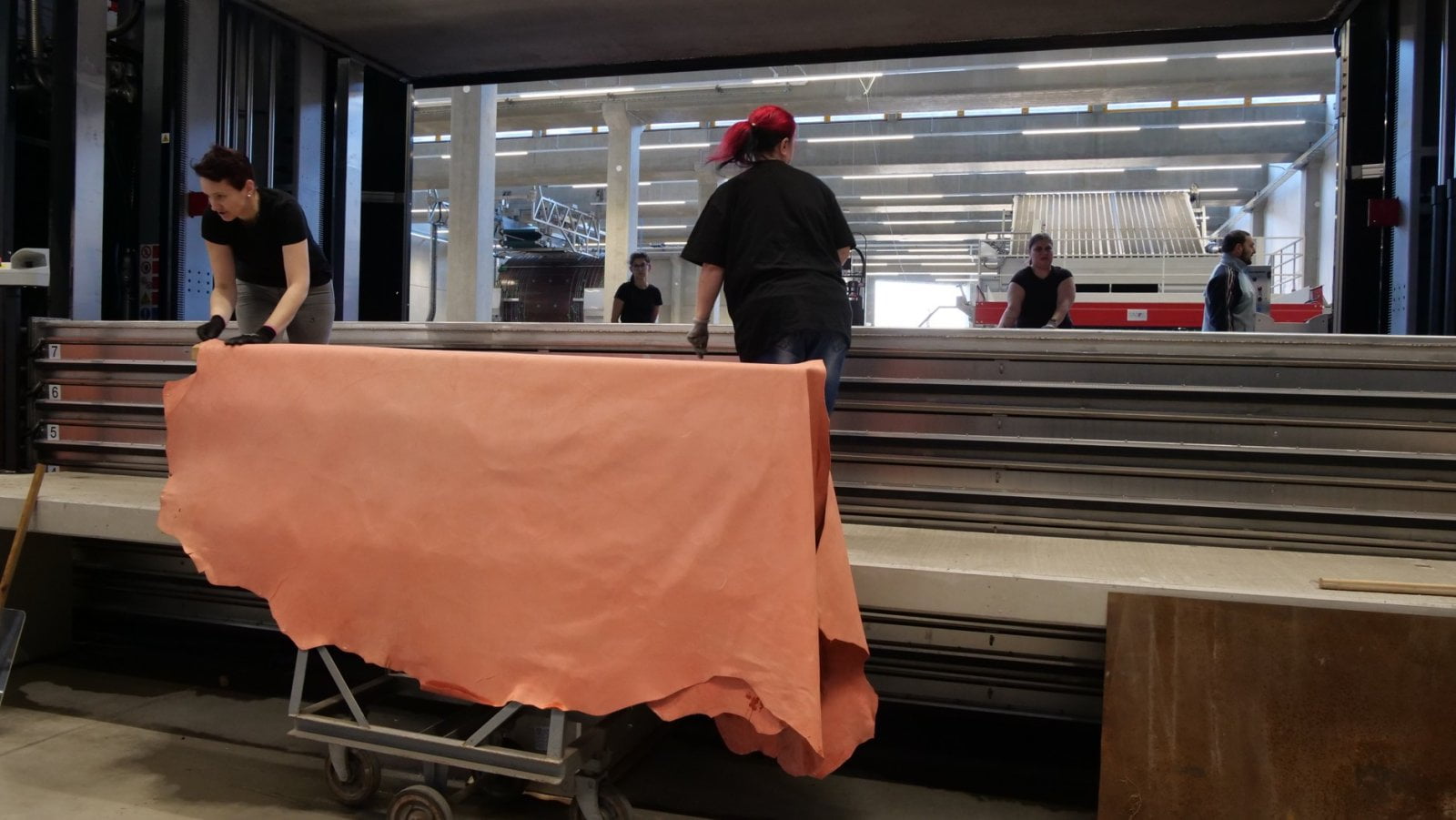 Zpracování kůží v Karo Leather