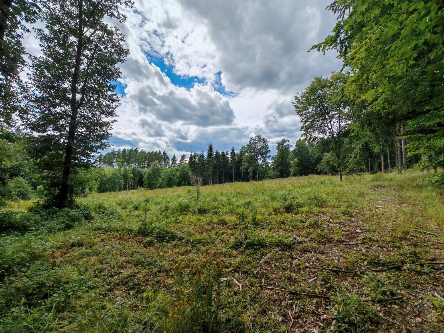 Honor 200 Pro: Ultraširokoúhlý 12Mpx fotoaparát