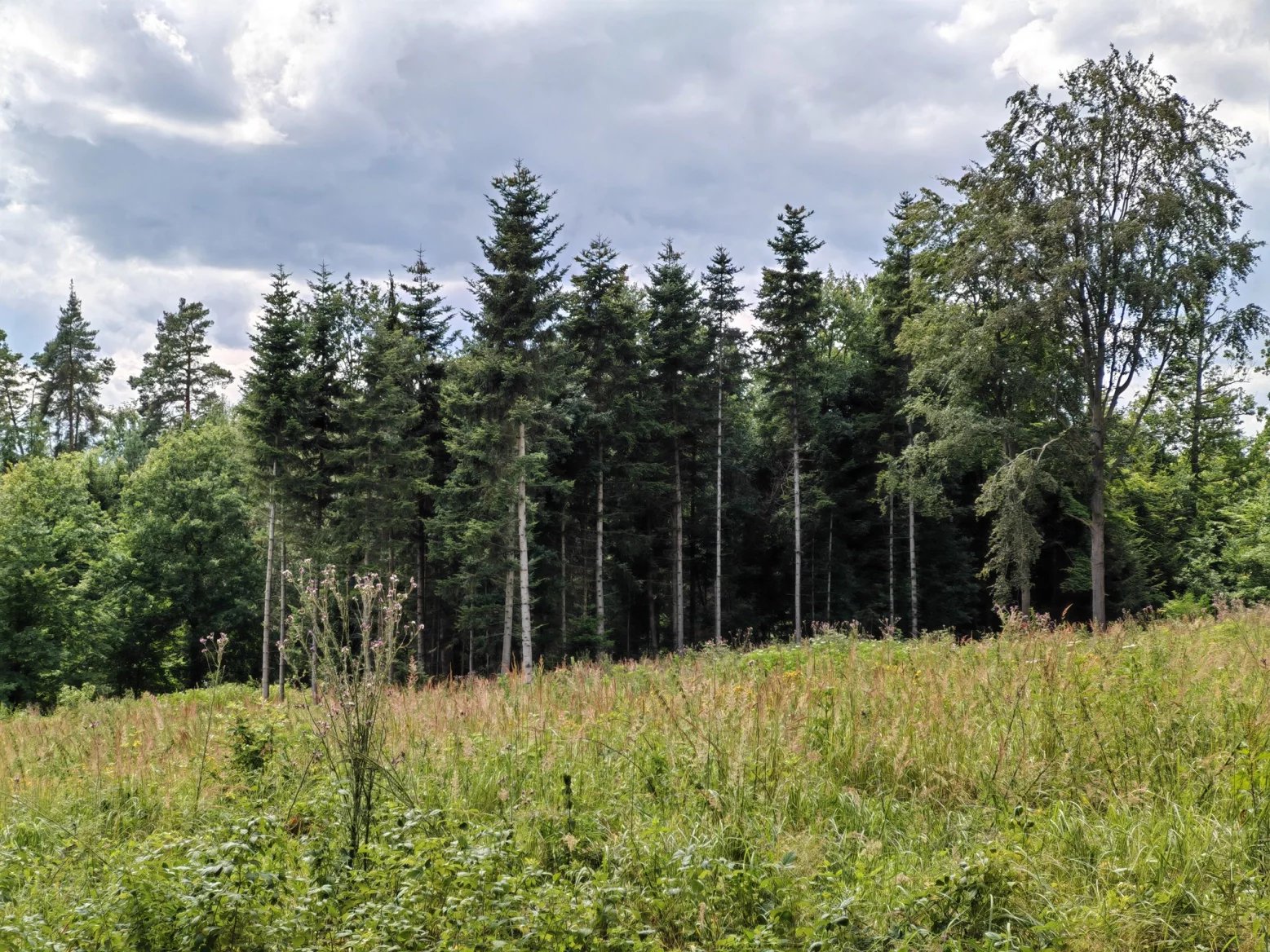 Honor 200 Pro: 2,5násobný optický zoom