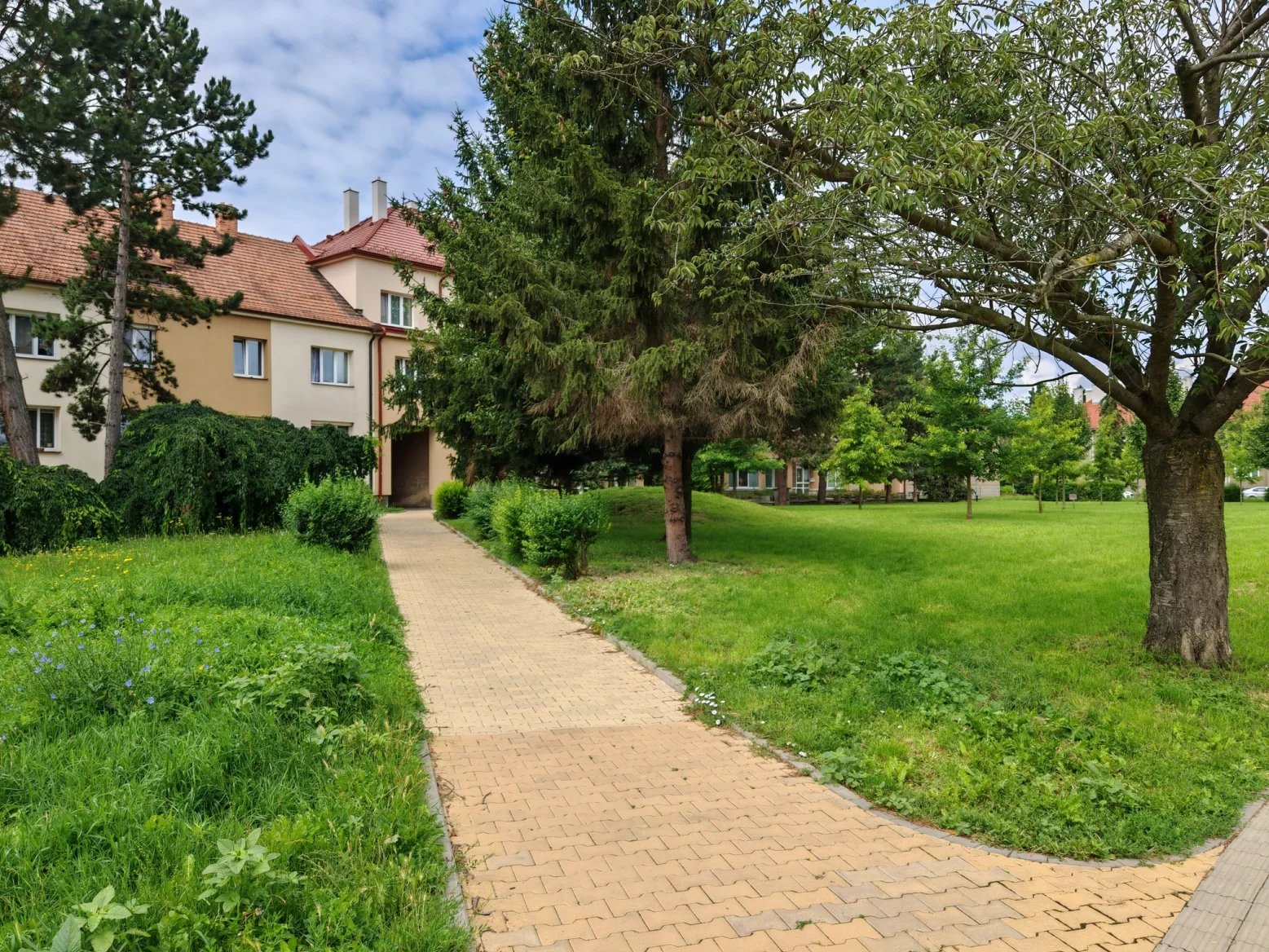 Honor 200 Pro: Hlavní 50Mpx fotoaparát