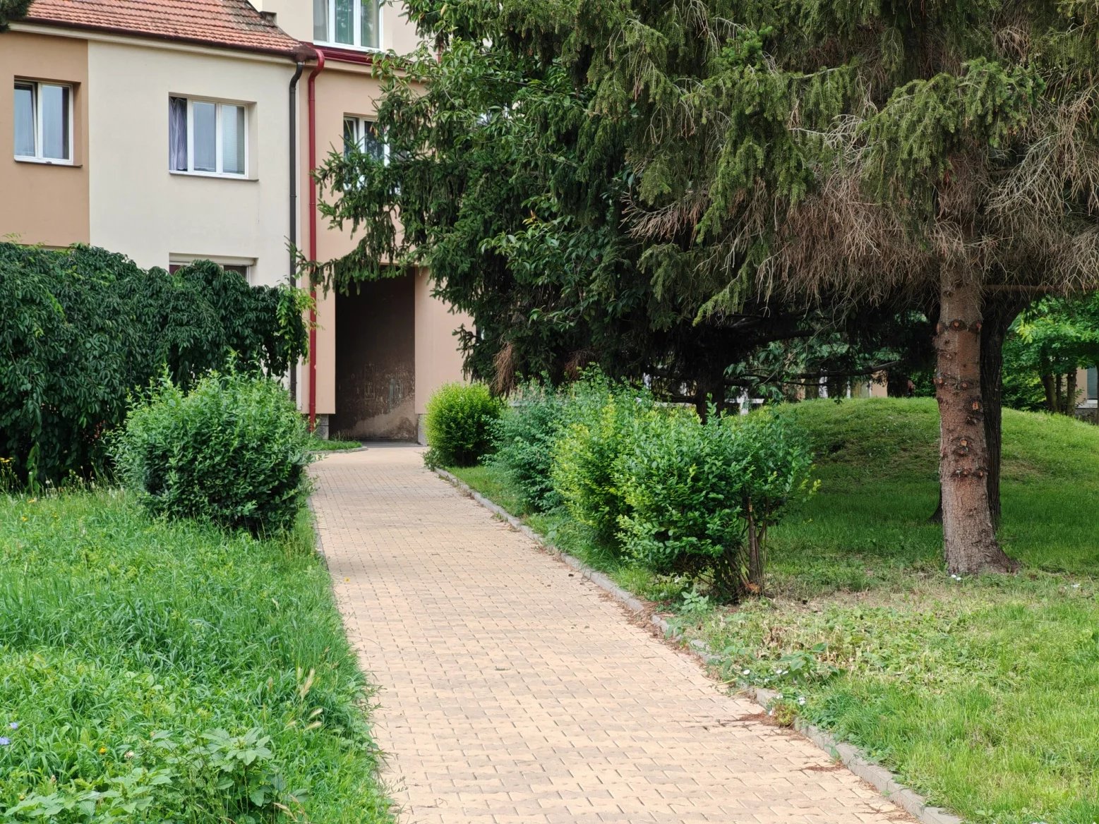 Honor 200 Pro: 2,5násobný optický zoom