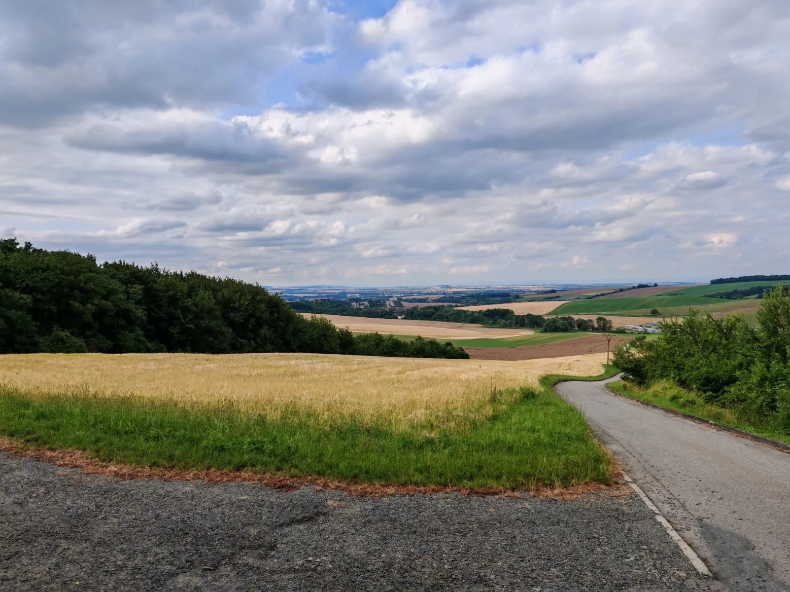 Honor 200 Pro: Hlavní 50Mpx fotoaparát