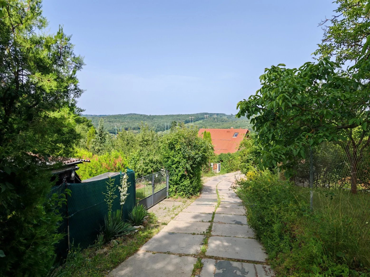 Honor 200 Pro: Hlavní 50Mpx fotoaparát