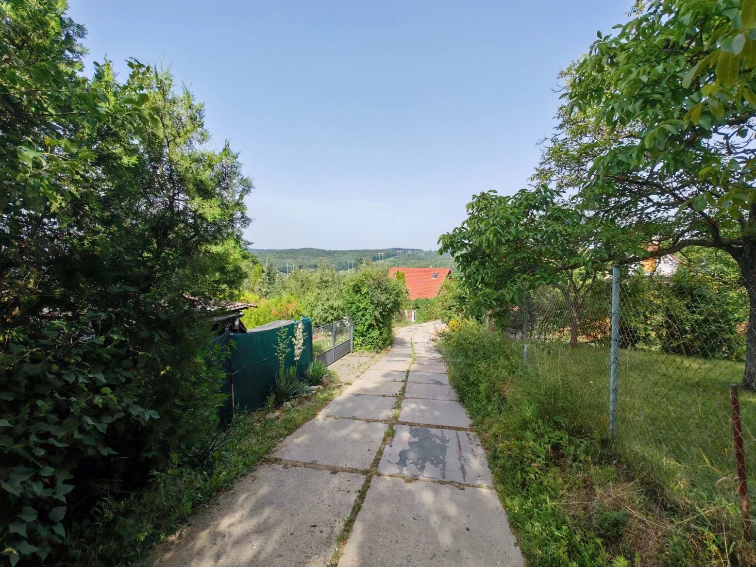 Honor 200 Pro: Ultraširokoúhlý 12Mpx fotoaparát