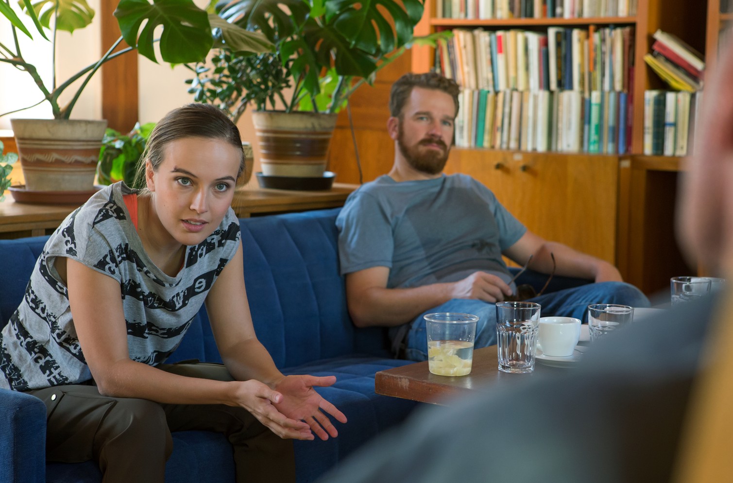 Modré stíny: Třídílná minisérie České televize