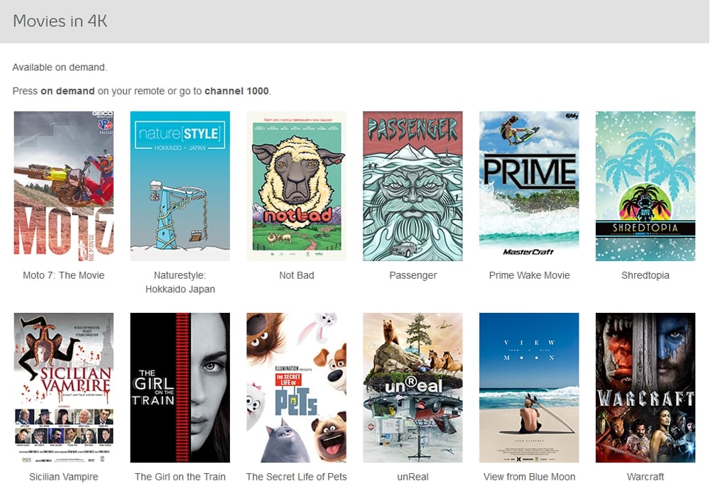 Aktuální 4K nabídka