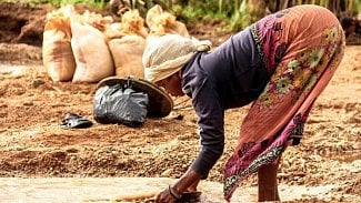 Náhledový obrázek - Za dva měsíce zemřelo na Madagaskaru 19 lidí na plicní mor