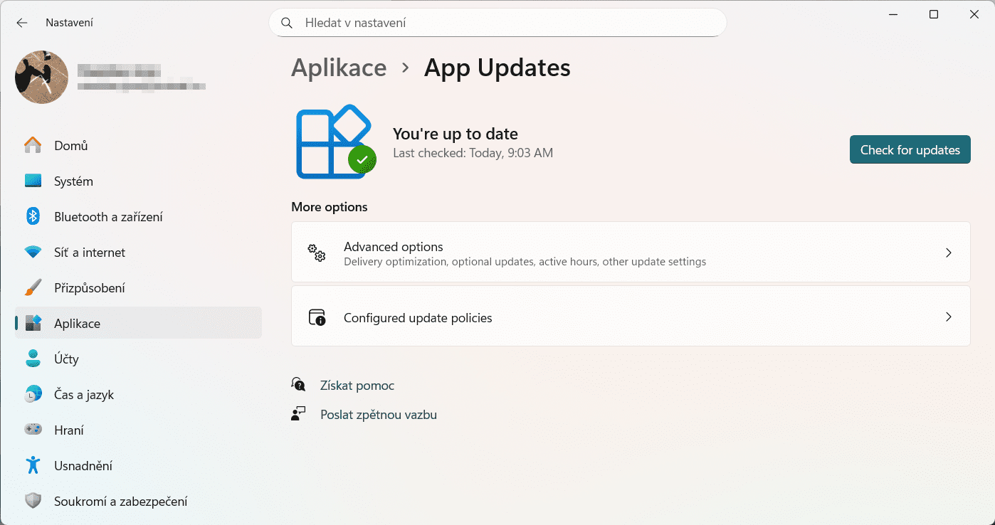 Screenshot Windows Apps Update