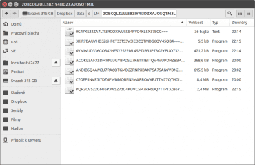 A takto vypadá zašifrovaný trezor. Nečitelná data, nesrozumitelný název, ale velikost souborů může napovědět
