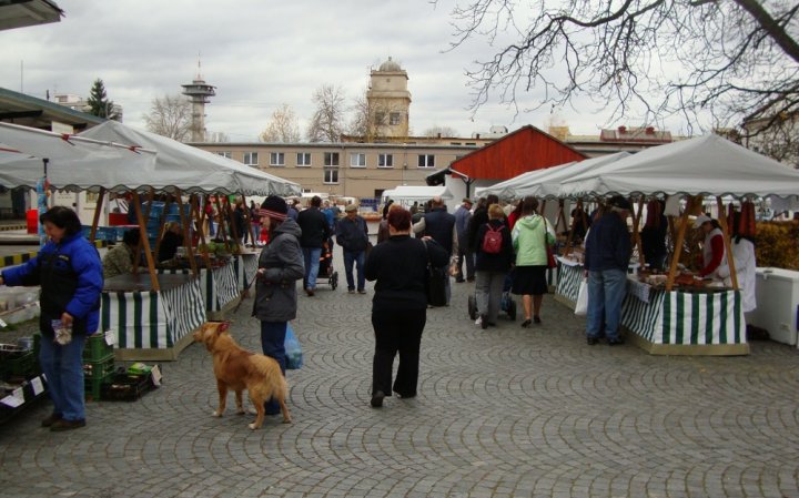 trhy Pardubice