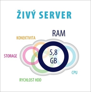 Živý server