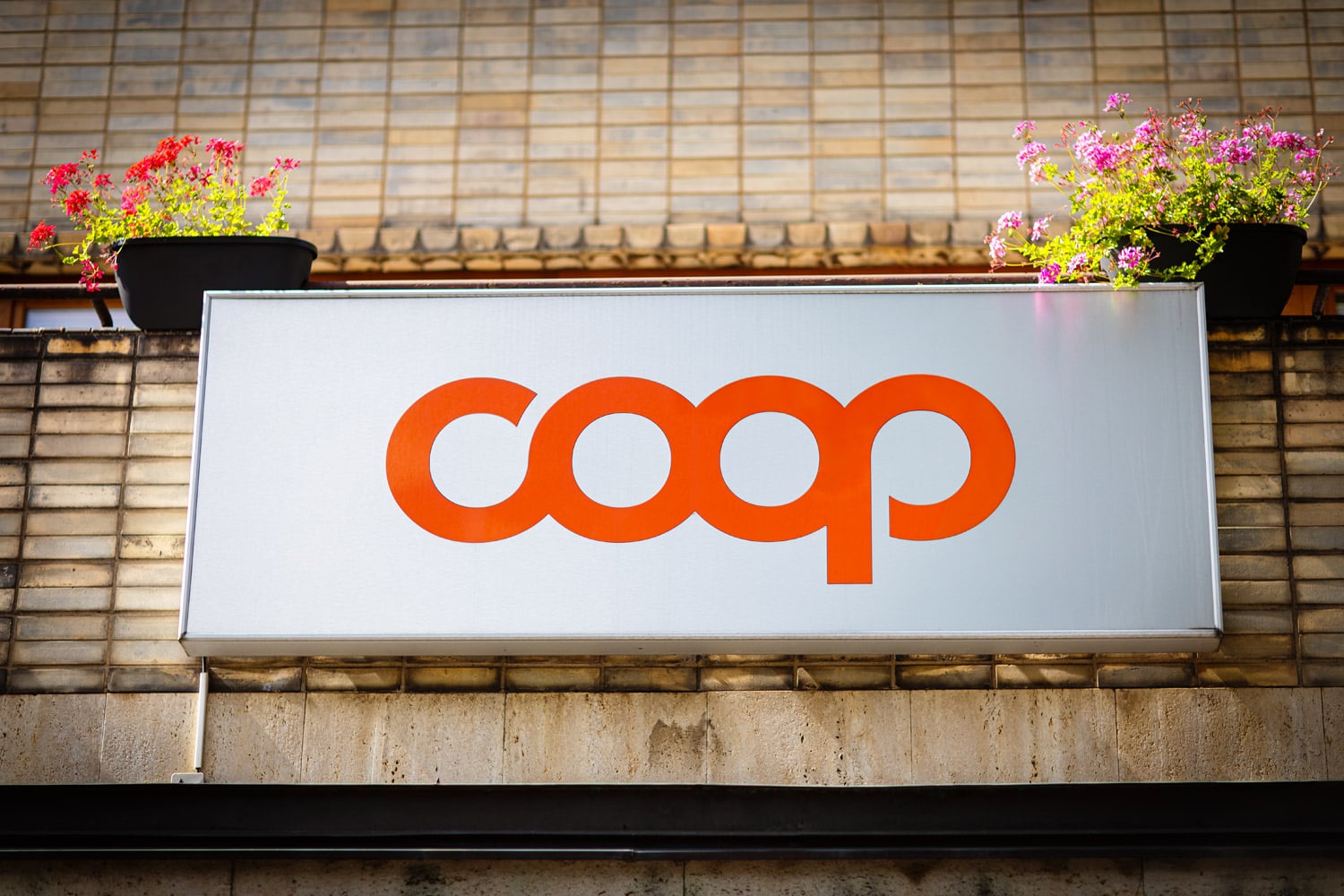 COOP