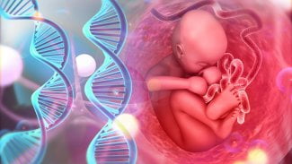 Embryo dítěte s DNA