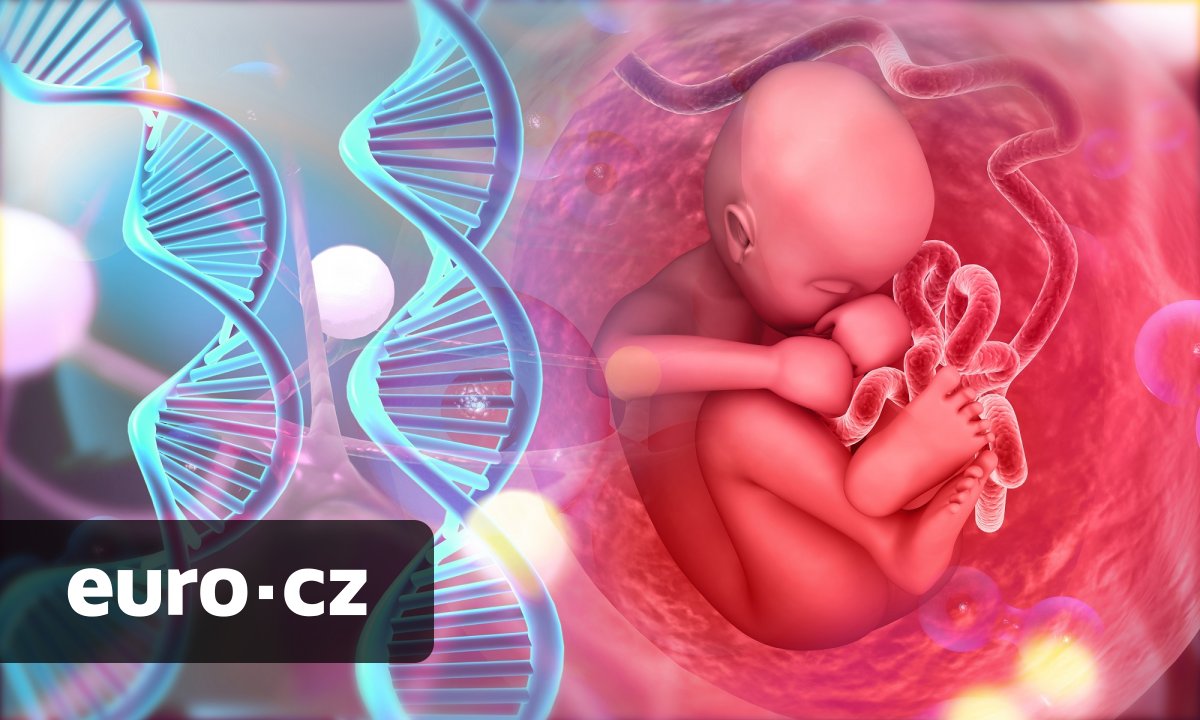 Jak zplodit co nejchytřejší děti? Manažeři ze Silicon Valley investují desetitisíce dolarů do zvýšení IQ svých budoucích potomků