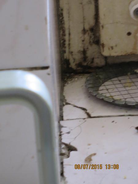 Restaurace Na Libušíně, Plzeň