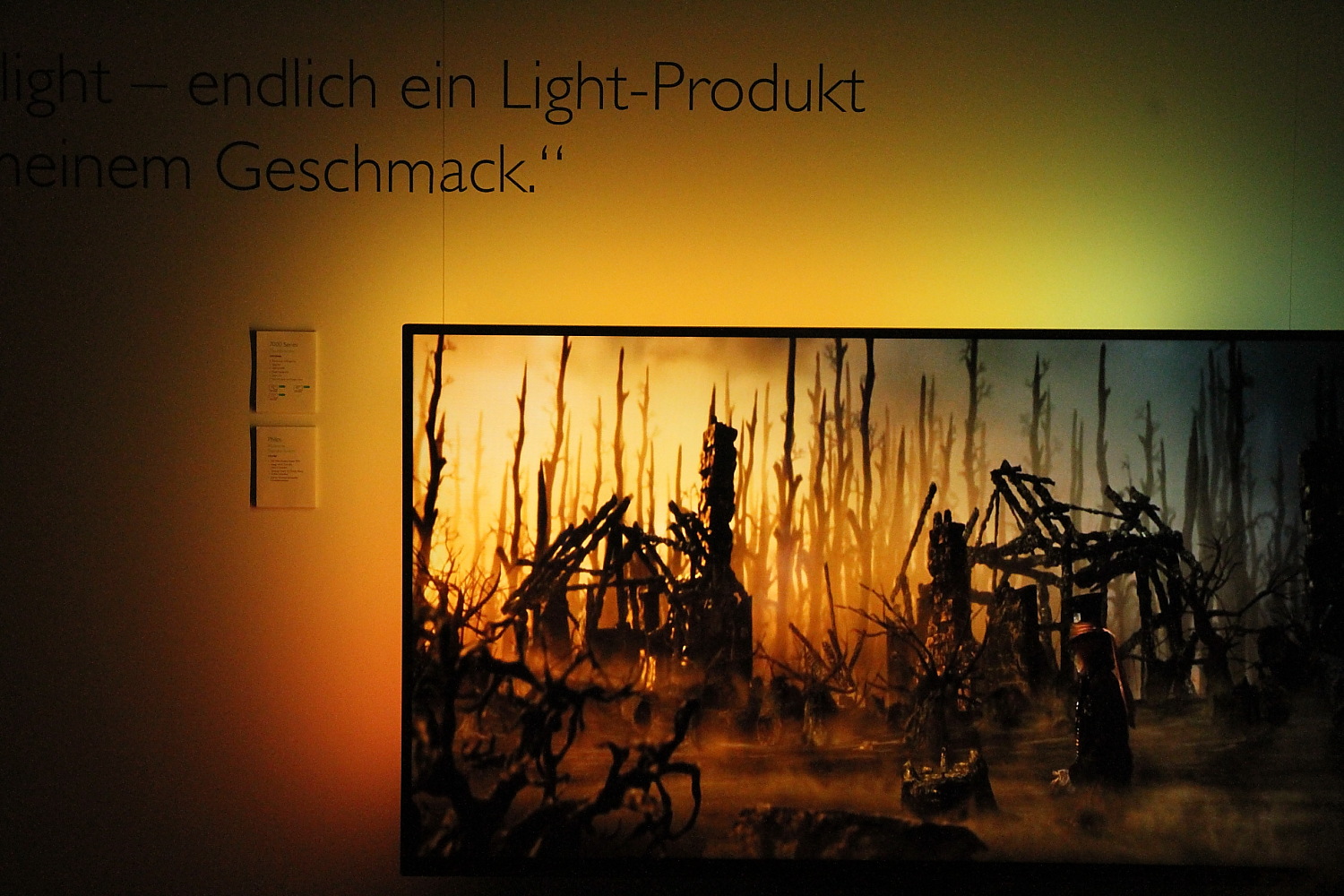 Prezentace televizorů Philips pro rok 2013