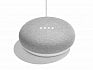Google Home Mini