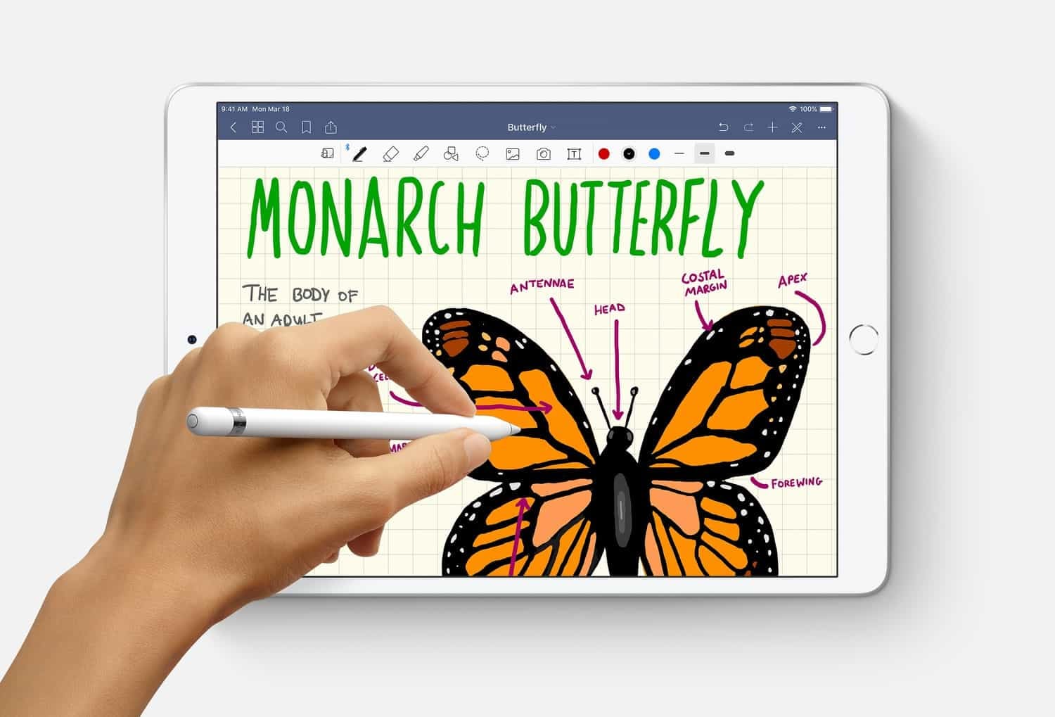 Apple iPad Air (2019)