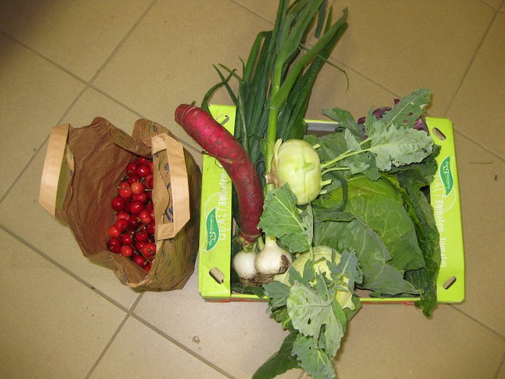 Příklad naplnění "biobedýnky"