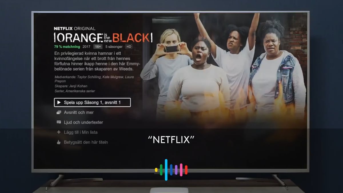 Hlasové vyhledávání