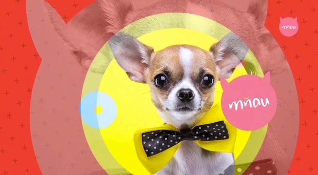 Nejzajímavější satelitní kanály v březnu 2017