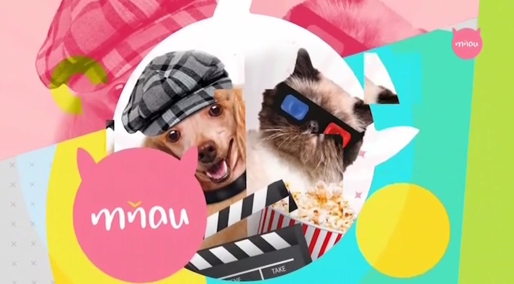 Nové hvězdy na satelitním nebi 25. února až 2. března