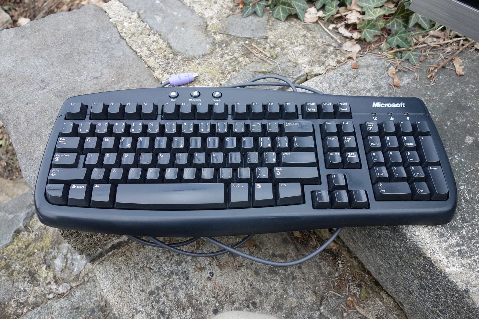 Microsoft Basic Keyboard