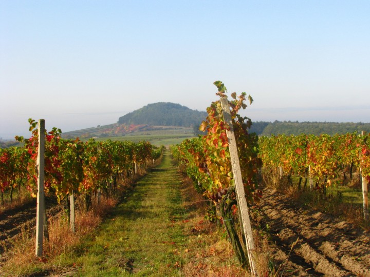 Litoměřická podoblast