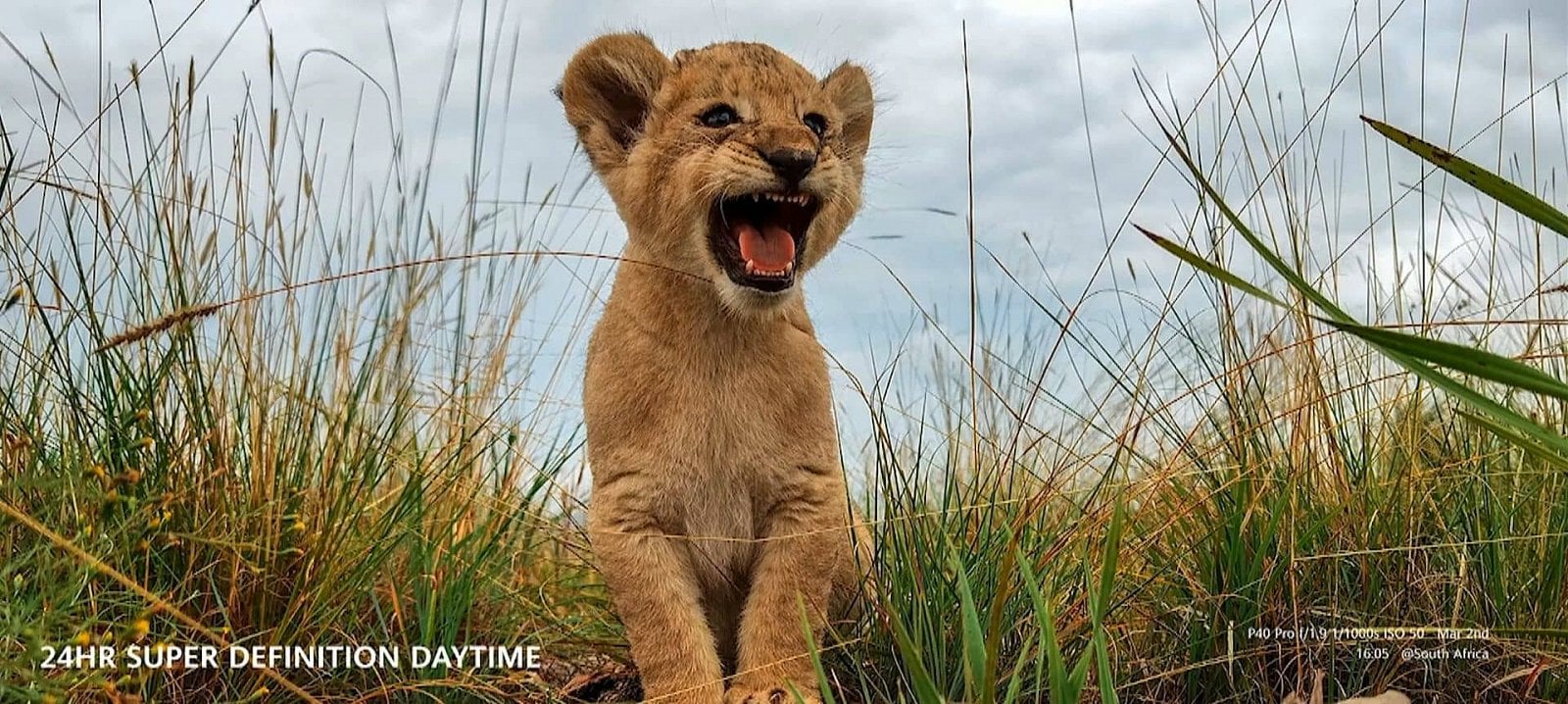 Huawei P40 series launch obr10