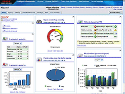 Oracle: Screen-graf-Podnikatel-srpen2007