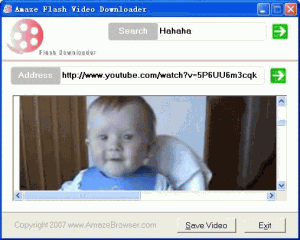 Amaze Flash Video Flv Downloader 1.1.43 - náhled