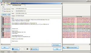 Rapidshare Search Tool 3.1 - náhled