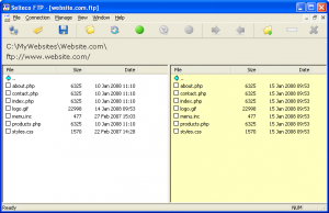 Selteco Free FTP Client 5.2 - náhled