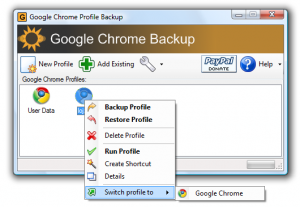 Google Chrome Backup 1.8.0.141 - náhled