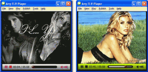 Any FLV Player 2.4.2 - náhled