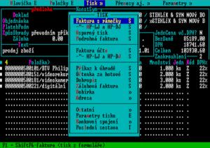 Účto 2009 4 - náhled